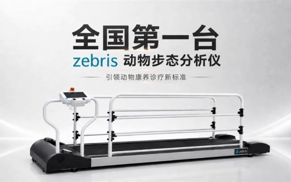 zebris 动物步态分析仪